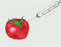 &Gamma;&epsilon;&nu;&epsilon;&tau;&iota;&kappa;ά &tau;&rho;&omicron;&pi;&omicron;&pi;&omicron;&iota;&eta;&mu;έ&nu;&alpha; &tau;&rho;ό&phi;&iota;&mu;&alpha;