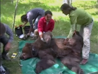 &Beta;ά&lambda;&iota;&alpha; &Kappa;ά&lambda;&nu;&tau;&alpha; - &Tau;&omicron; &kappa;&alpha;&tau;&alpha;&phi;ύ&gamma;&iota;&omicron; &tau;&eta;&sigmaf; &alpha;&rho;&kappa;&omicron;ύ&delta;&alpha;&sigmaf;