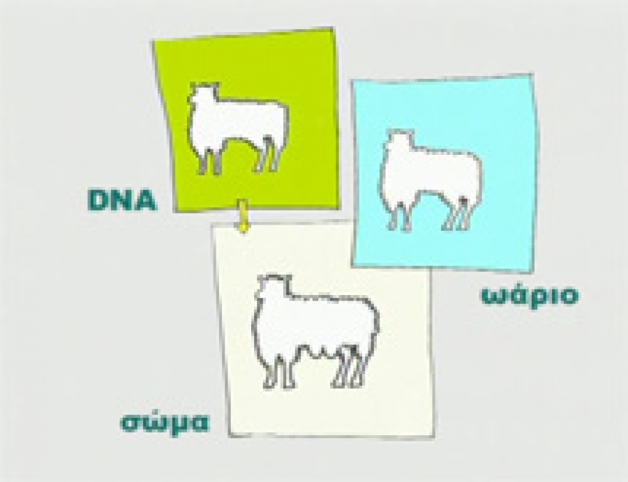 Κλωνοποίηση