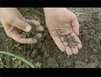 &Beta;&iota;&omicron;&lambda;&omicron;&gamma;&iota;&kappa;έ&sigmaf; &kappa;&alpha;&lambda;&lambda;&iota;έ&rho;&gamma;&epsilon;&iota;&epsilon;&sigmaf;