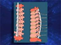 &Sigma;&kappa;&omicron;&lambda;ί&omega;&sigma;&eta;