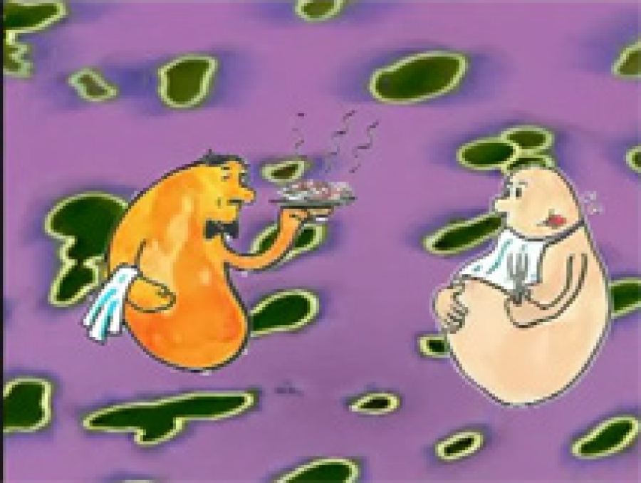 DNA - Επιστήμη για παιδιά