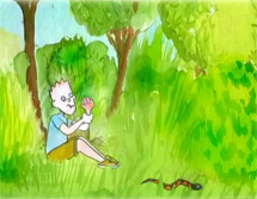 Ατυχήματα στην ύπαιθρο