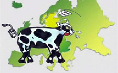 Η νόσος των τρελών αγελάδων