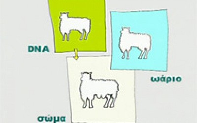 Κλωνοποίηση