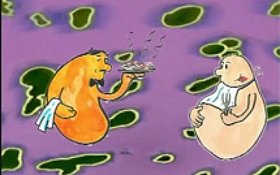 DNA - Επιστήμη για παιδιά